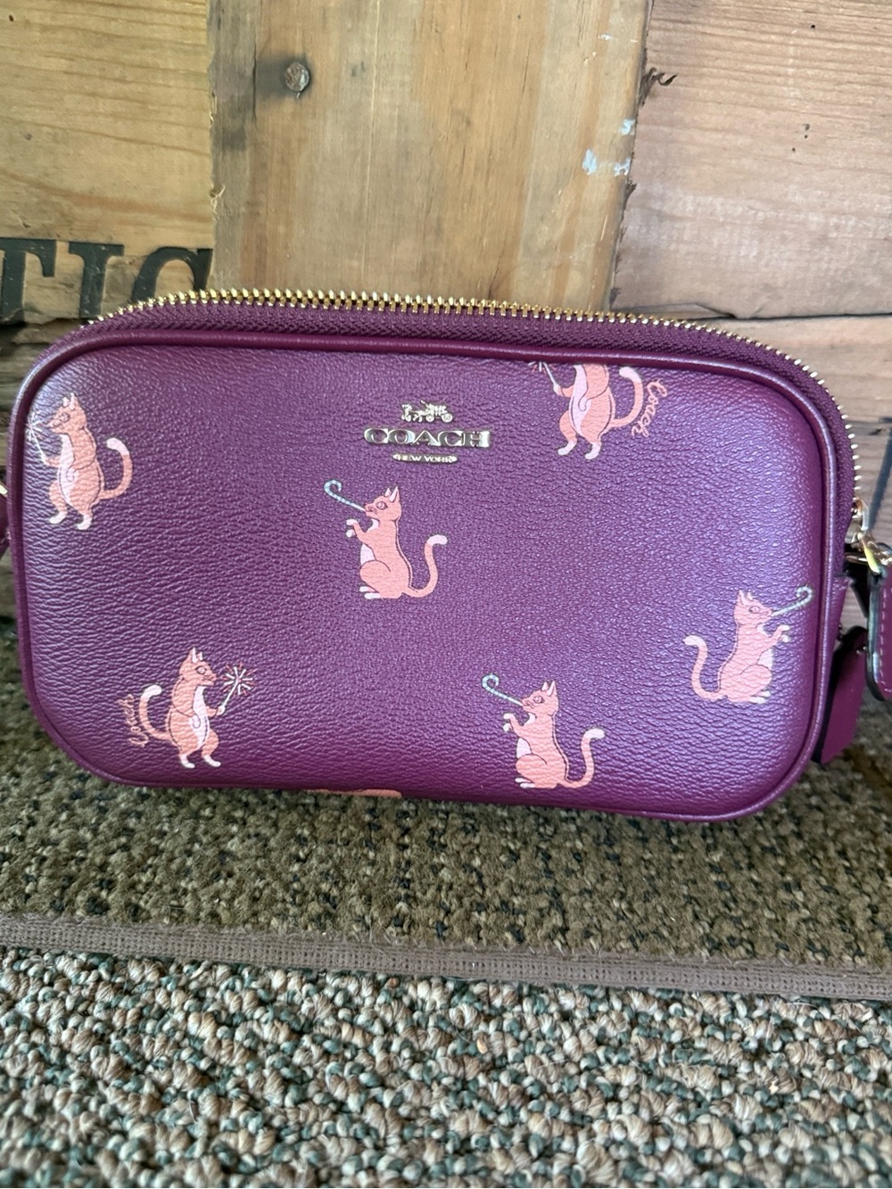 Coach Party Cat Crossbody Pouch - Picture 2 of 10